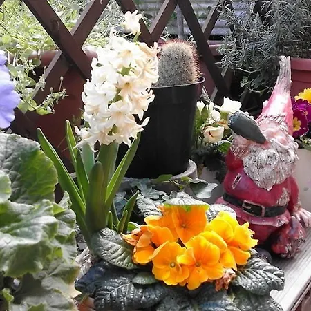 La Tana Del Nano * אנקונה