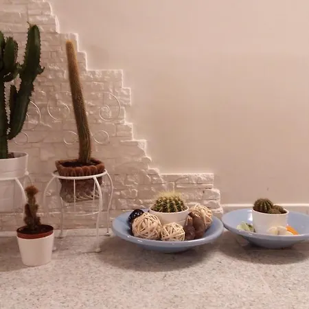 La Tana Del Nano * אנקונה